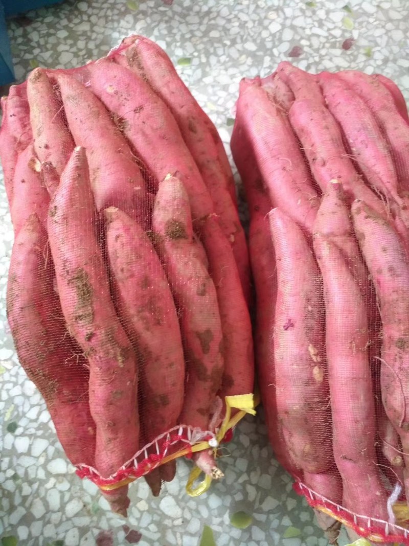 山西运城红薯，红皮白心，口感香甜无丝细长条的