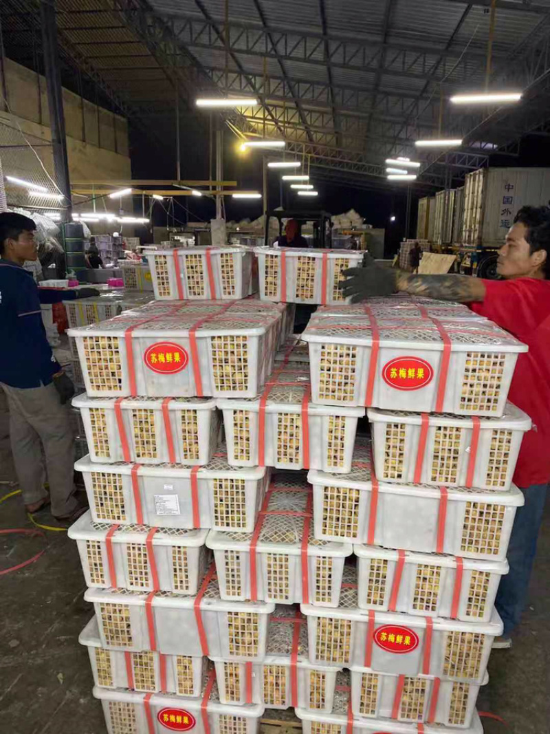 泰国龙眼，金标，红标，蓝标，绿标，长期供应货源