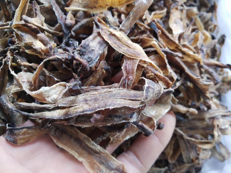 地龙规格比较齐全，欢迎咨询。常年购销动物昆虫类