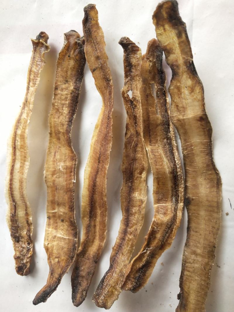 地龙规格比较齐全，欢迎咨询。常年购销动物昆虫类