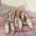 金蝉花规格多欢迎咨询选购
