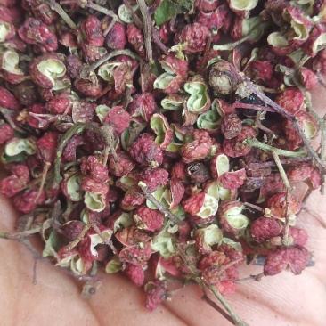 朋辉农副产品购销花椒