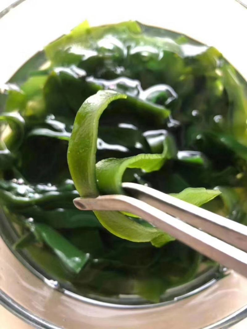 压缩海带饼全国包邮17倍泡发凉拌清炒很下饭一片泡发一碗