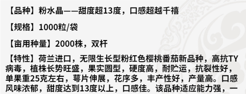 樱桃番茄种子粉水晶贝贝番茄种子小番茄种子圣女果种子