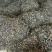蕨菜干B级无老根，朋友价，天然野生优质批发长期有货