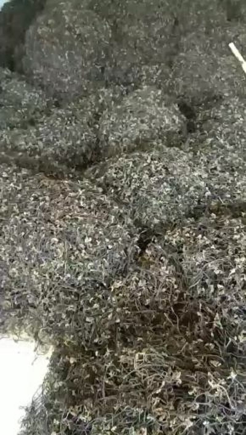 蕨菜干B级无老根，朋友价，天然野生优质批发长期有货