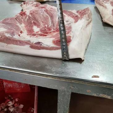 国产肥猪带皮前上肉，前五花，一件2-3块，手续齐全
