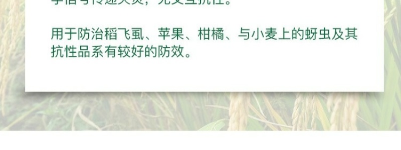 蚜虱净吡虫啉蔬菜花卉月季蚜虫飞虱腻虫韭蛆农药杀虫