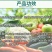 真菌苯醚甲环唑黑星病白粉病黑斑病锈果树蔬菜花卉杀菌剂