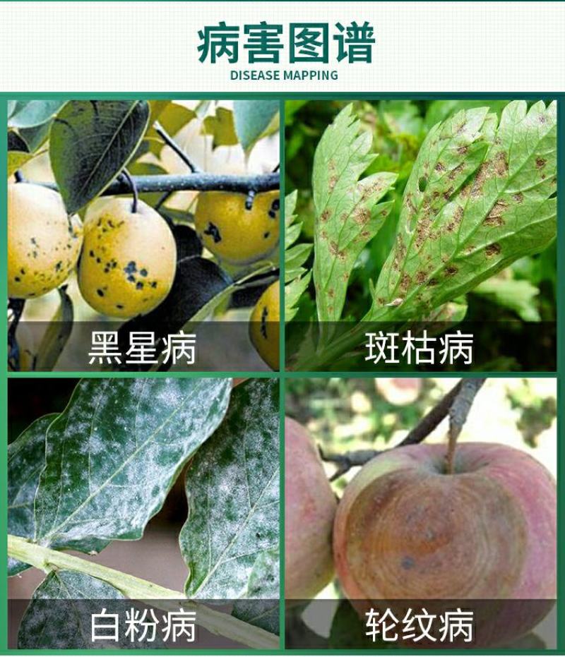 真菌苯醚甲环唑黑星病白粉病黑斑病锈果树蔬菜花卉杀菌剂