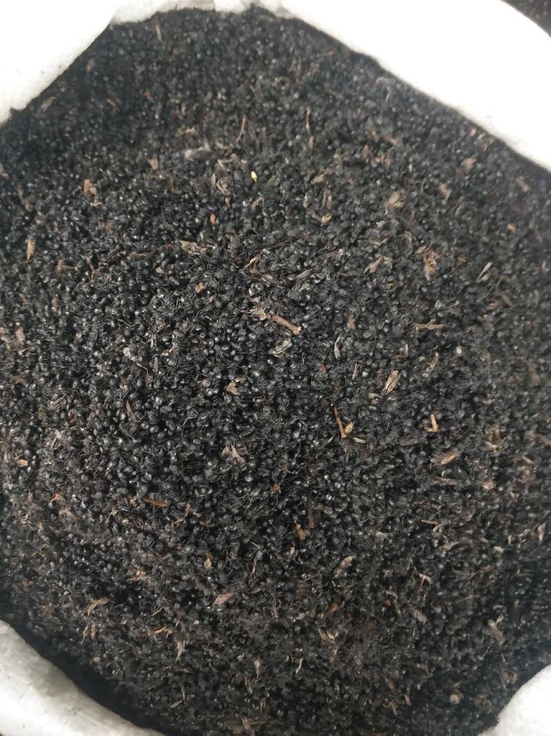 黑蚂蚁批发各种规格中药材冷药材
