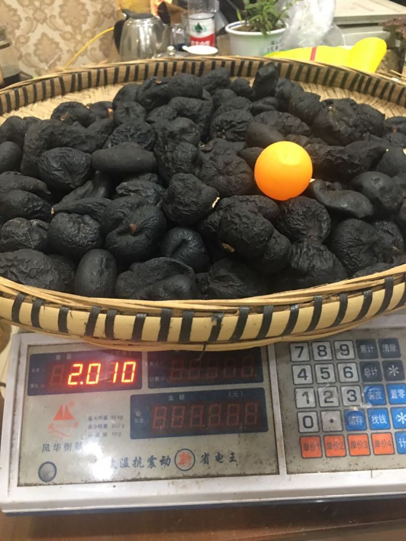正乌灵参纯野生新货500克一斤起发足斤足两