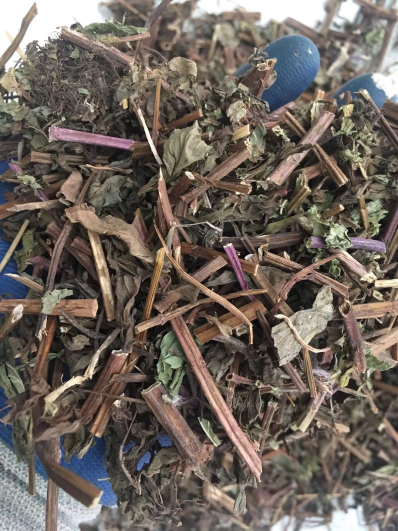 广西薄荷【包邮】三斤起发货可批量可零售量大从优