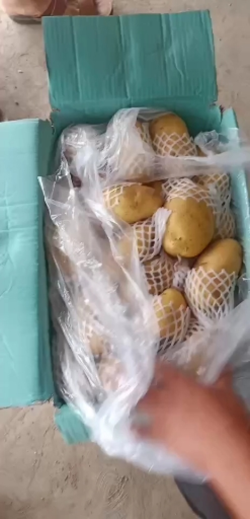 平阴县新鲜土豆大量上市品质保障量大从优