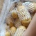 平阴县新鲜土豆大量上市品质保障量大从优