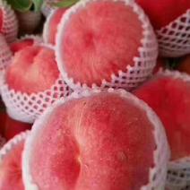 秦安水蜜桃大量热卖中，纸代色度好，味脆甜，望全国客商选购