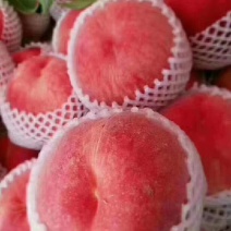 秦安水蜜桃大量热卖中，纸代色度好，味脆甜，望全国客商选购
