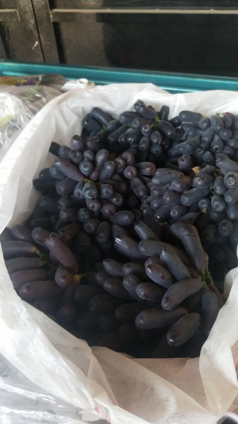 河北《甜蜜蓝宝石供应》
