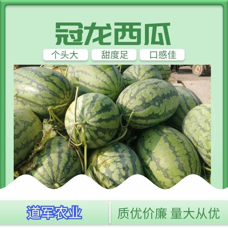 《河南冠龙西瓜》自生苗，无嫁接，产地直发，糖度13＋包熟包甜