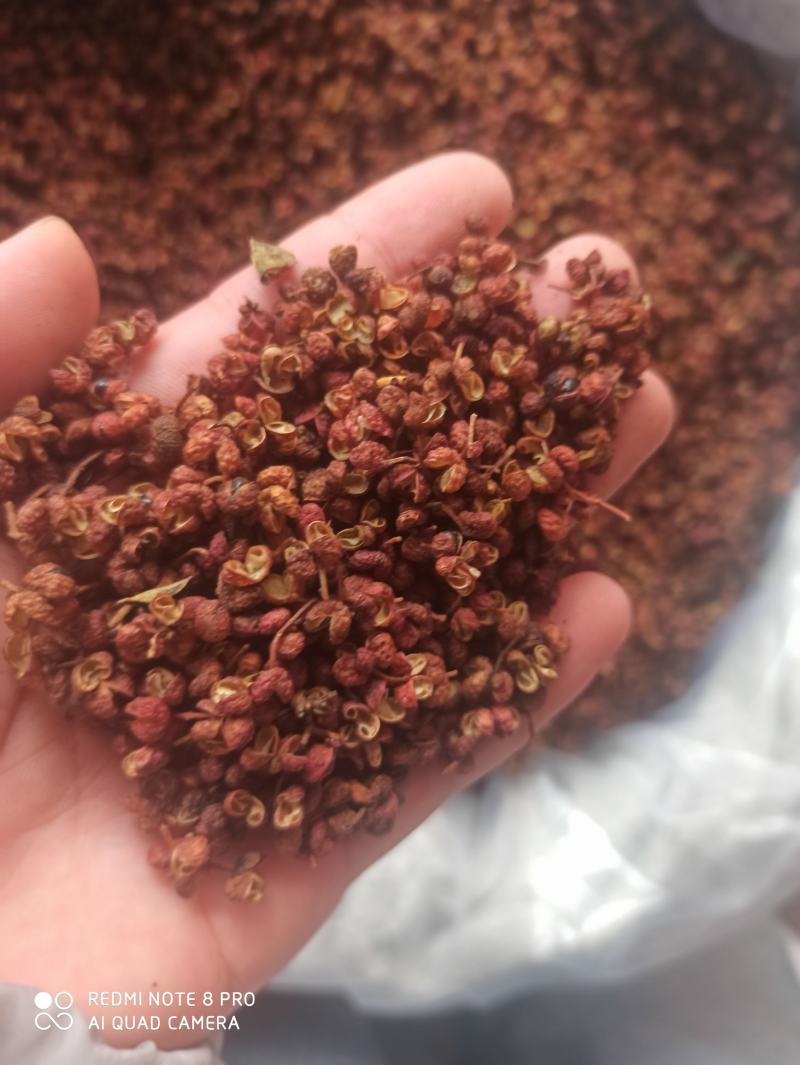 花椒大红袍花椒梅花花椒精品可打粉品质保证