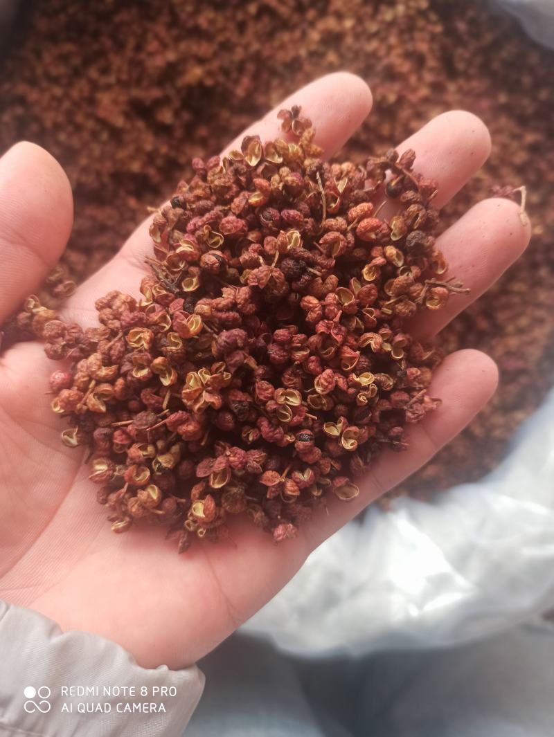 花椒大红袍花椒梅花花椒精品可打粉品质保证