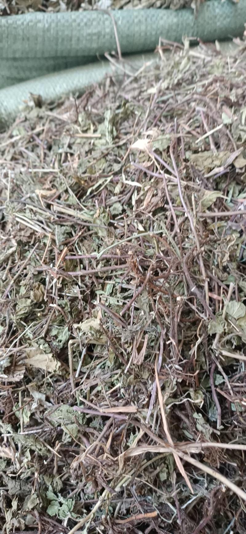 中药材土茵陈土茵陈铃茵陈牛至草阴行草山茵陈石茵陈