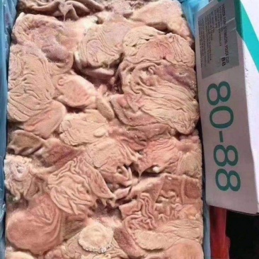 现货进口猪肚尽快下单