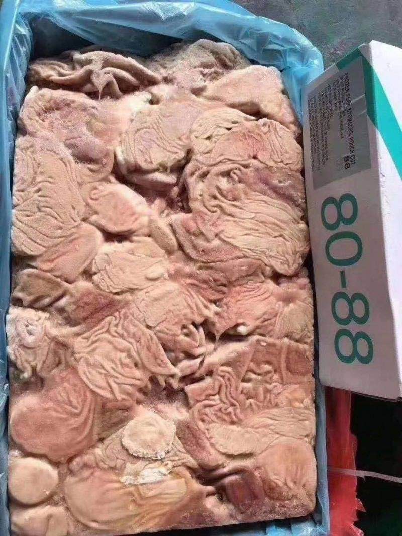现货进口猪肚尽快下单