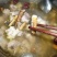 野生五指毛桃根煲汤料