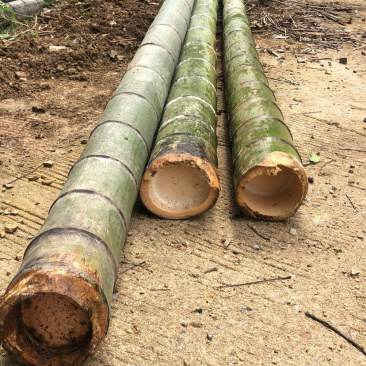 精品毛竹，大量出售，价格实惠