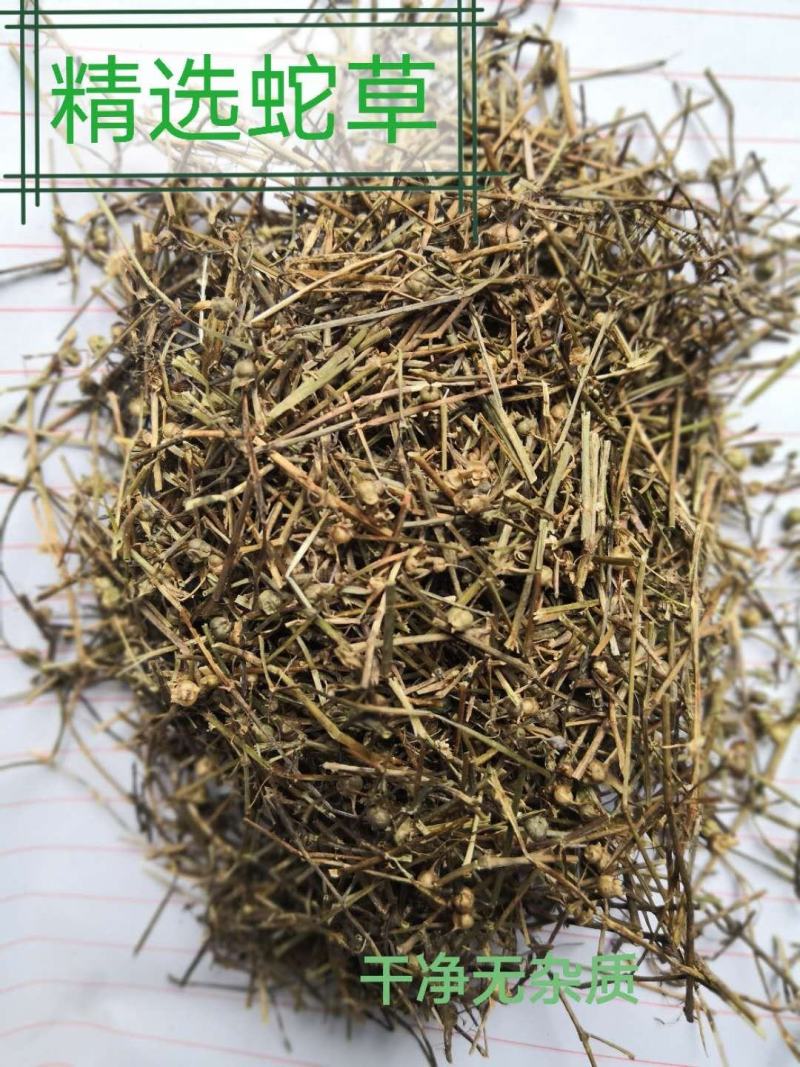 白花蛇舌草河南1公斤起批无硫无添加不包邮