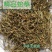 白花蛇舌草河南1公斤起批无硫无添加不包邮