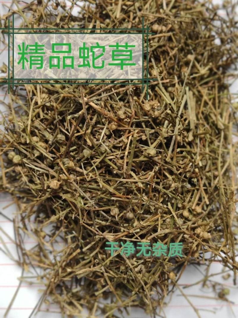 白花蛇舌草河南1公斤起批无硫无添加不包邮