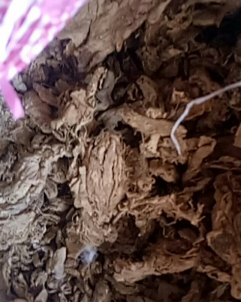 干姜片！干生姜！质量大！小！老黄姜片！产地直销！欢迎咨询