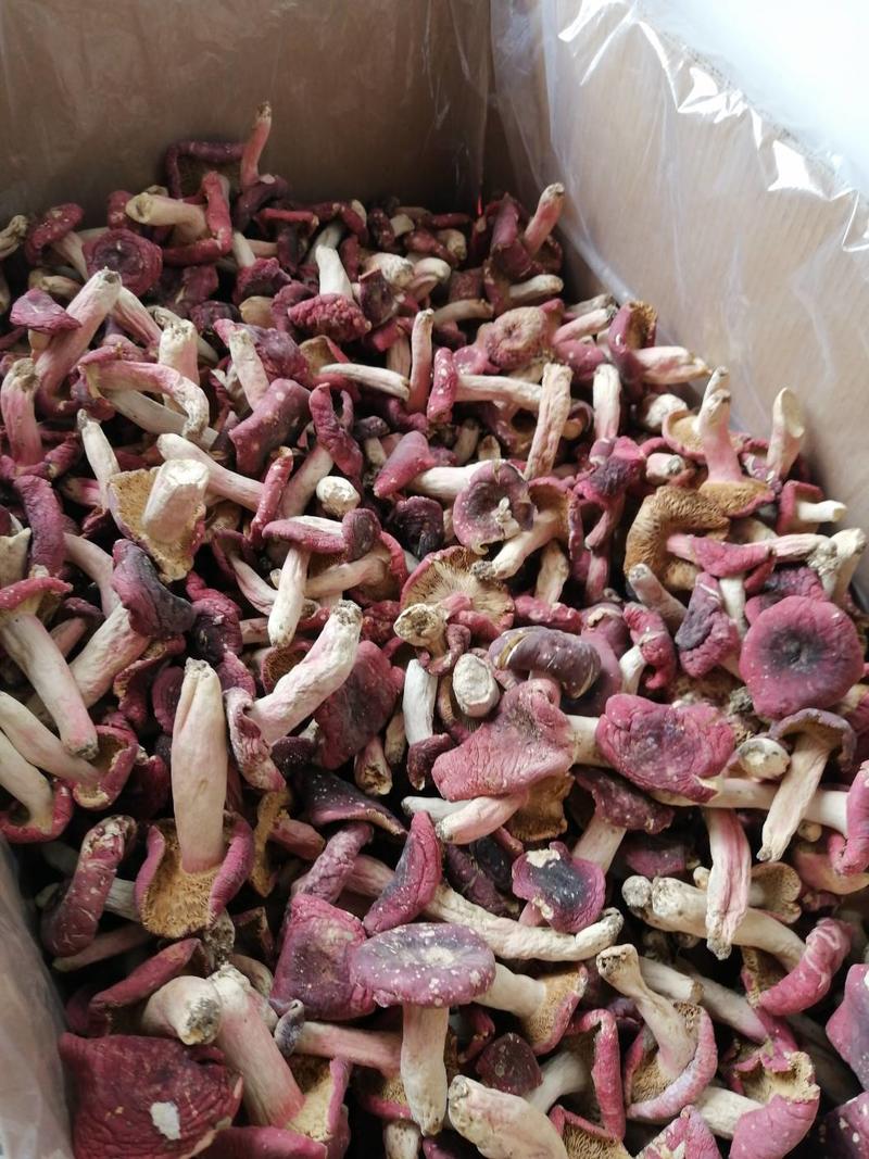 红菇干货物美价廉500克