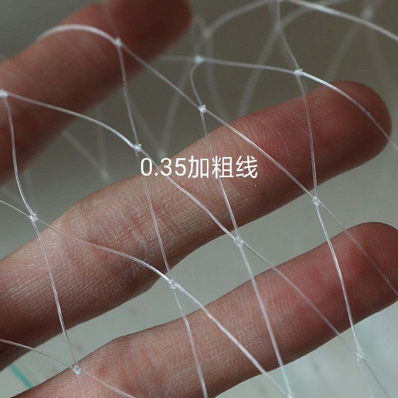 厂家直销机场一次性5.0孔防鸟网单丝防护网尼龙复丝包邮