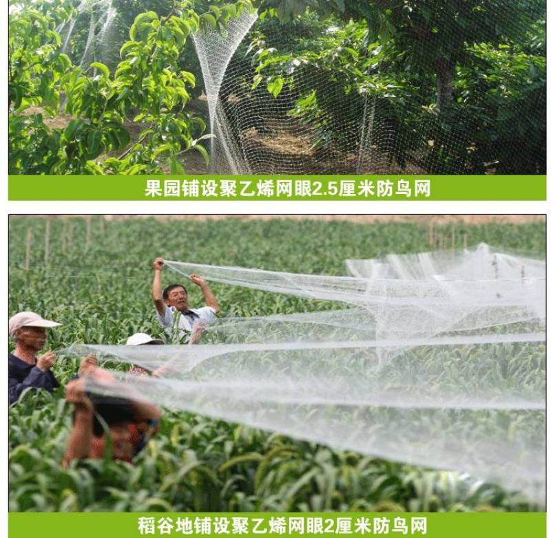 厂家直销机场一次性5.0孔防鸟网单丝防护网尼龙复丝包邮