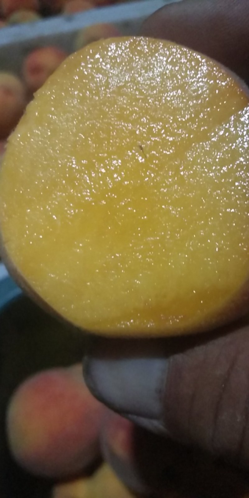 出售83黄桃，有意者请联系