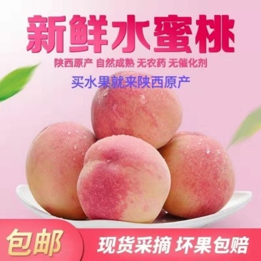 陕西，北京八号，郑五毛桃，大量走货中，一手产地价，