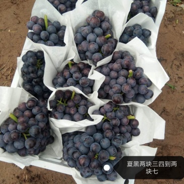 都瞎报价格你怎么不报一毛钱