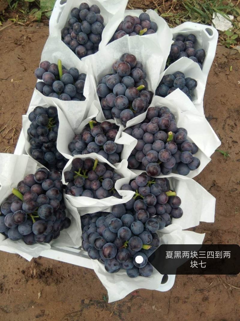 都瞎报价格你怎么不报一毛钱