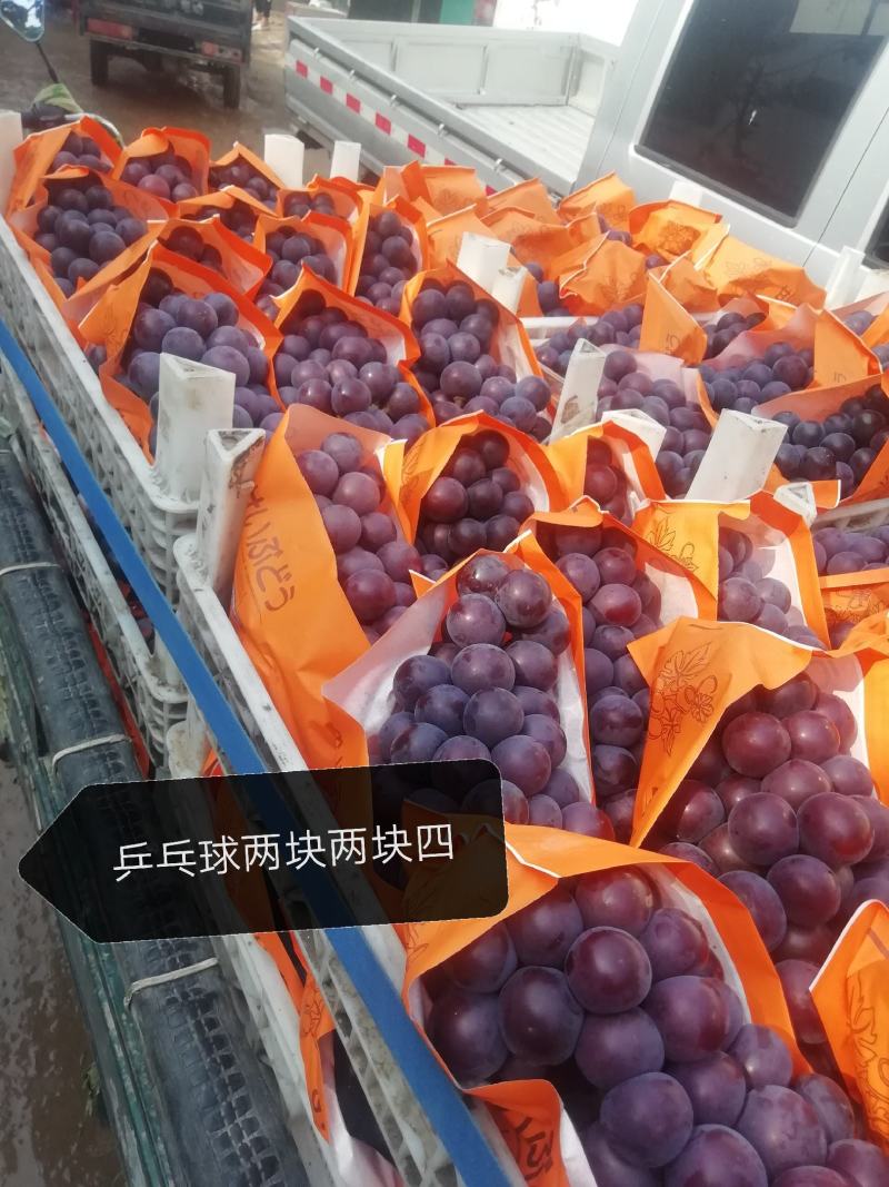 都瞎报价格你怎么不报一毛钱