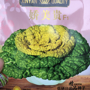 精品半包心黄心菜种子娇美贵油亮黑心乌墨冠种子