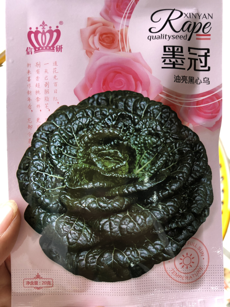 精品半包心黄心菜种子娇美贵油亮黑心乌墨冠种子