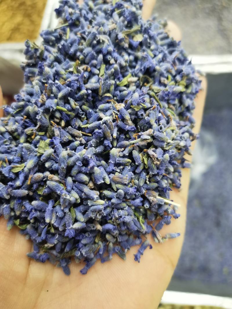 薰衣草新疆伊犁无硫散装香味浓郁无添加可泡水包邮