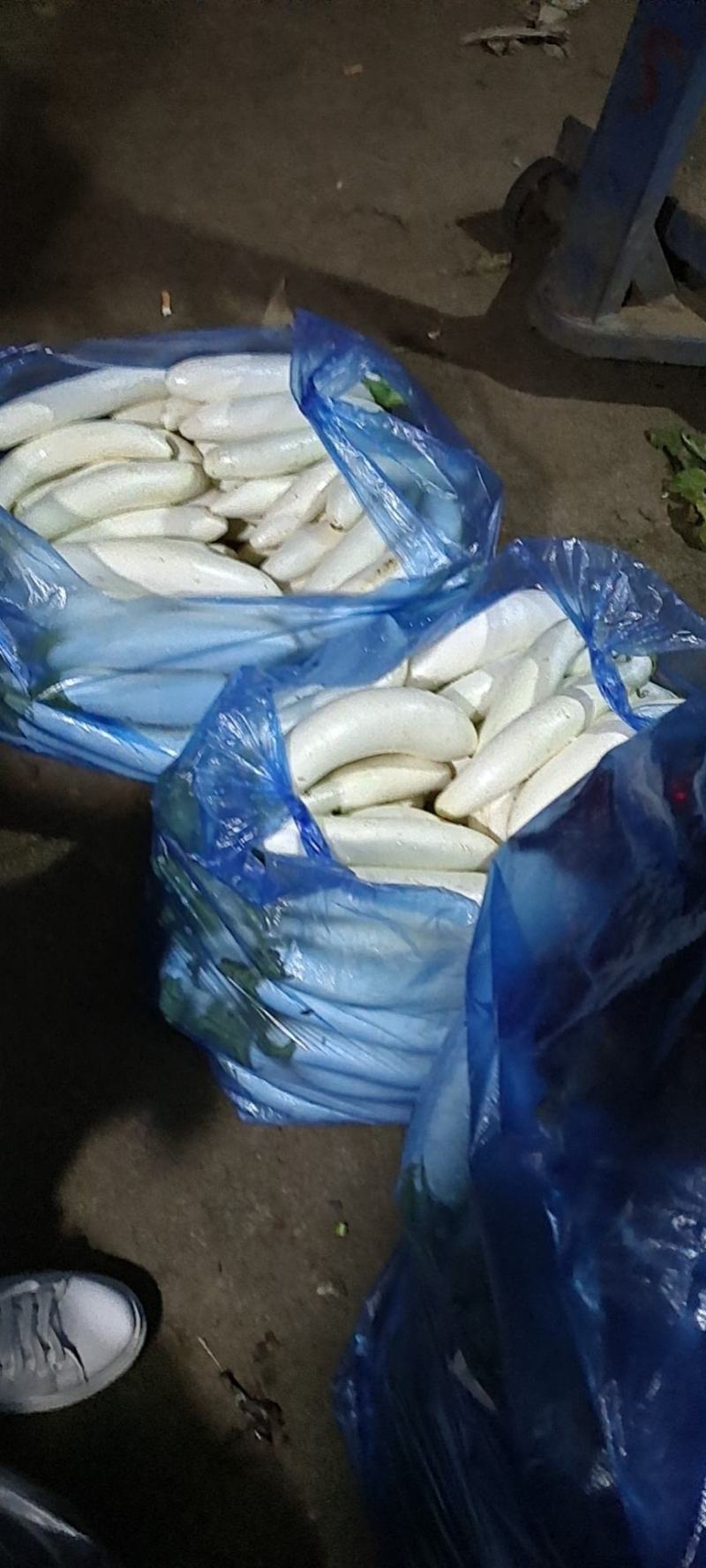 本人自种的白茄，商品好，欢迎来拉