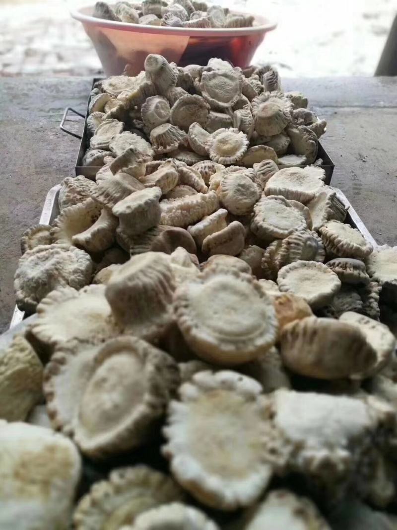 老御头正宗梅花鹿托盘又称鹿角帽250克/瓶可整个发货。