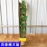 百香果苗鸡蛋果西番莲树苗紫香台农黄金果满天生四季盆栽