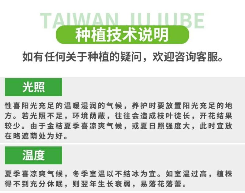 百香果苗鸡蛋果西番莲树苗紫香台农黄金果满天生四季盆栽