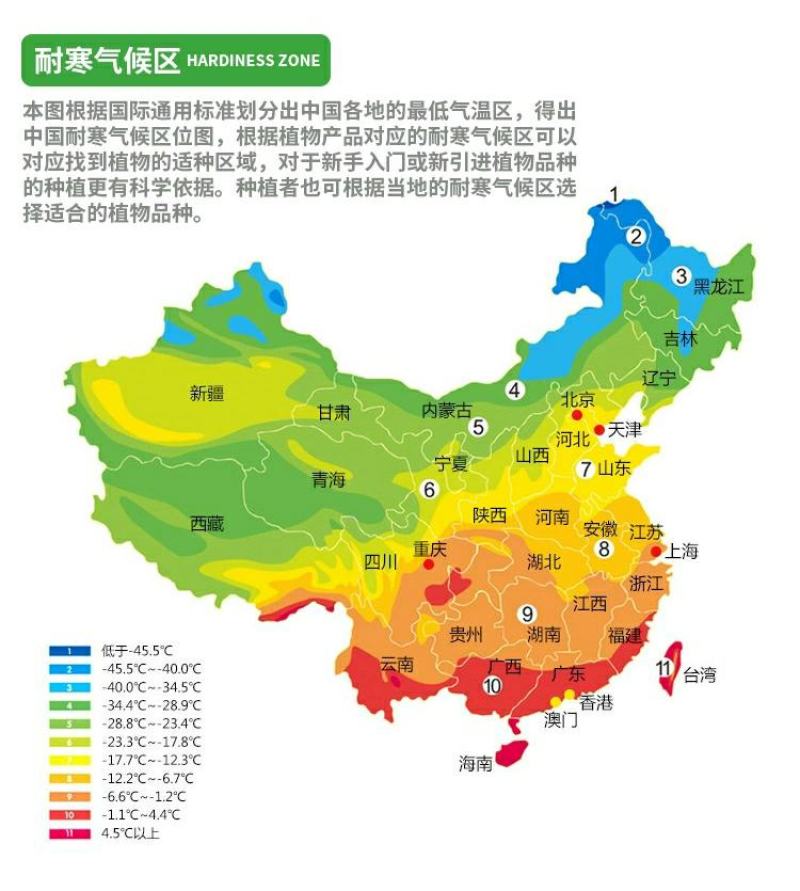 百香果苗鸡蛋果西番莲树苗紫香台农黄金果满天生四季盆栽